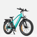 ENGWE E26 Electric Bike 250W 140km Range