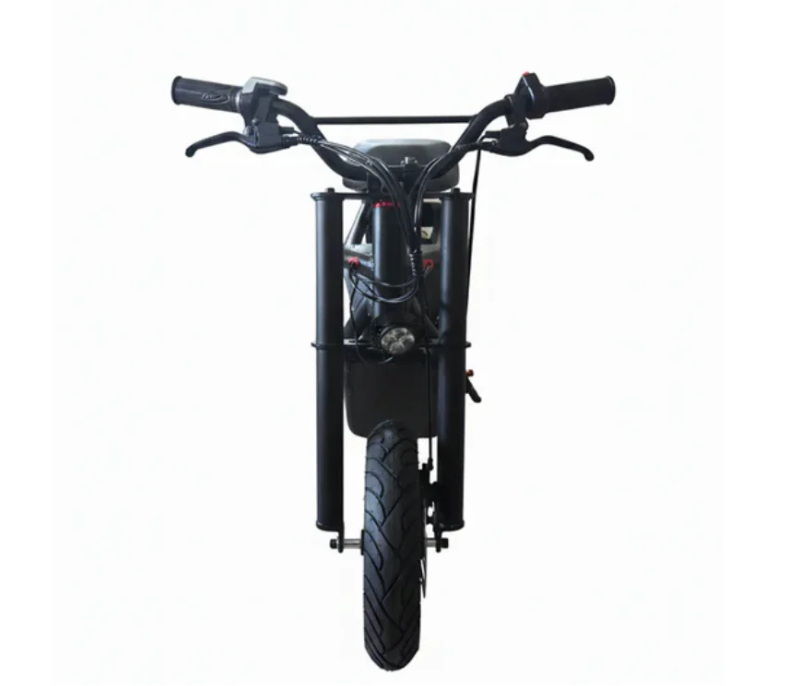 ZAPLON B1 Electric Fiido Bike
