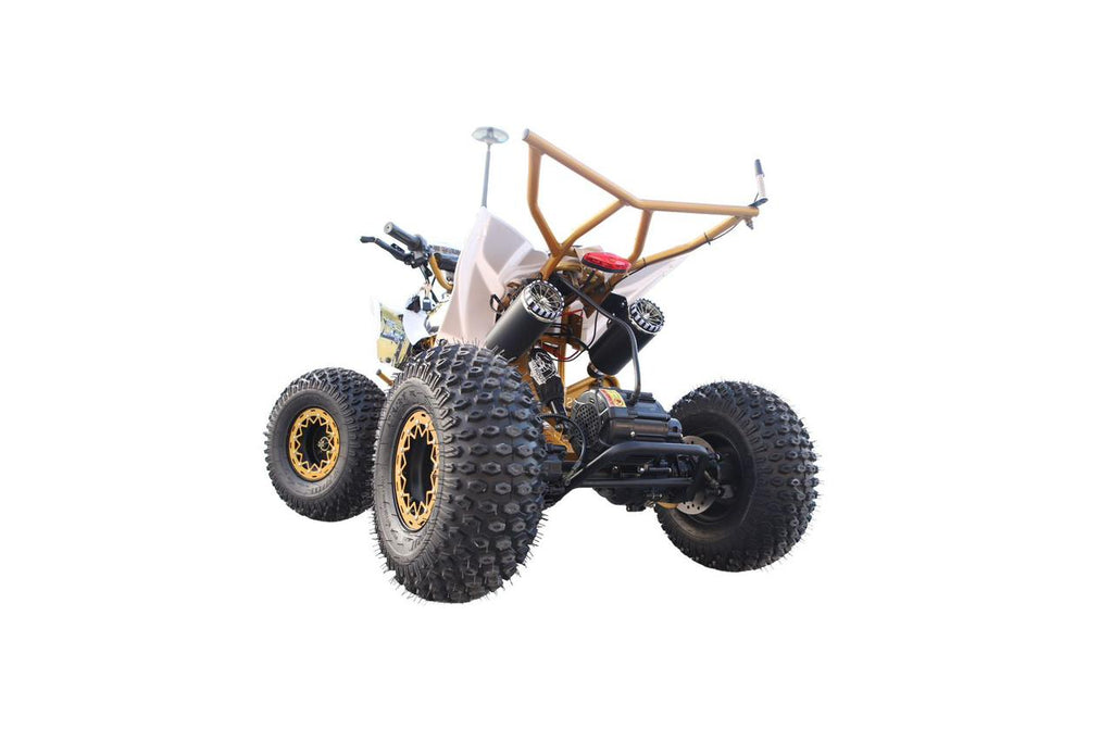 NITROUS N300/48-20 Ah Electric ATV