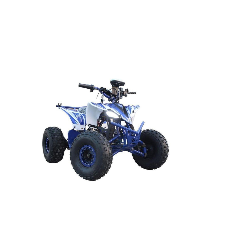 Nitrous N100 36-13 Ah Electric ATV