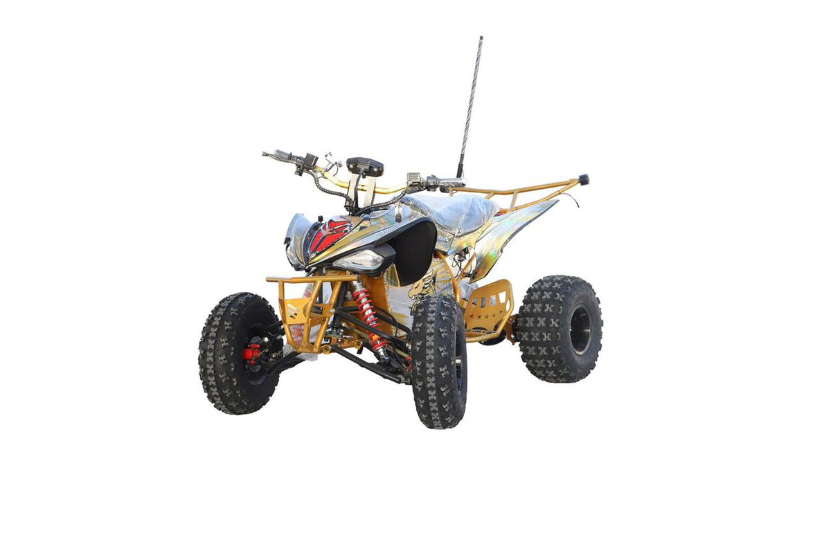 NITROUS N300/48-20 Ah Electric ATV