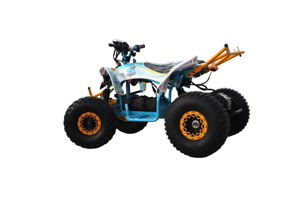 Nitrous N200 48/13 Ah Electric ATV